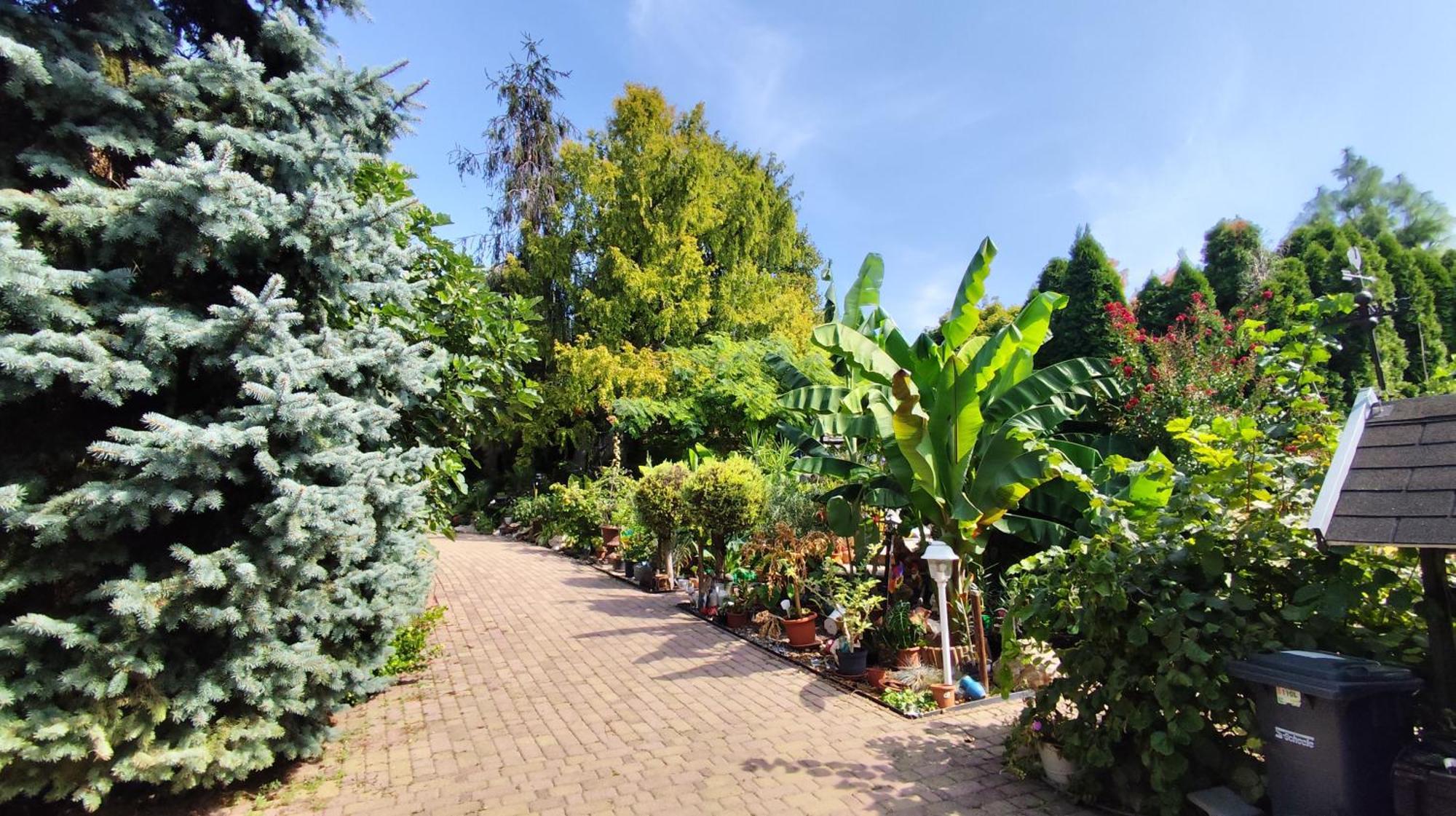 Apartmán Katica Vendeghaz Siófok Exteriér fotografie