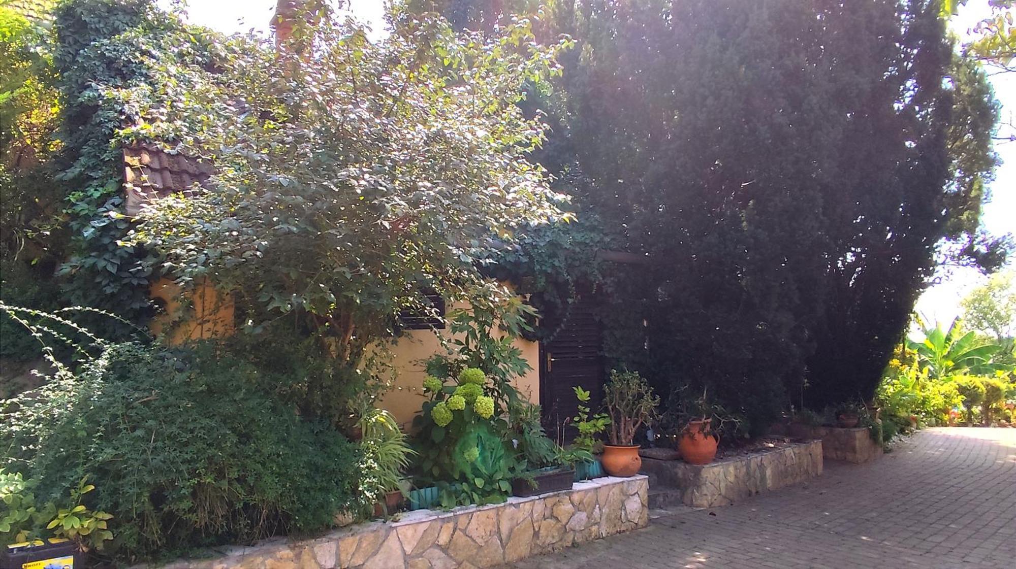 Apartmán Katica Vendeghaz Siófok Exteriér fotografie